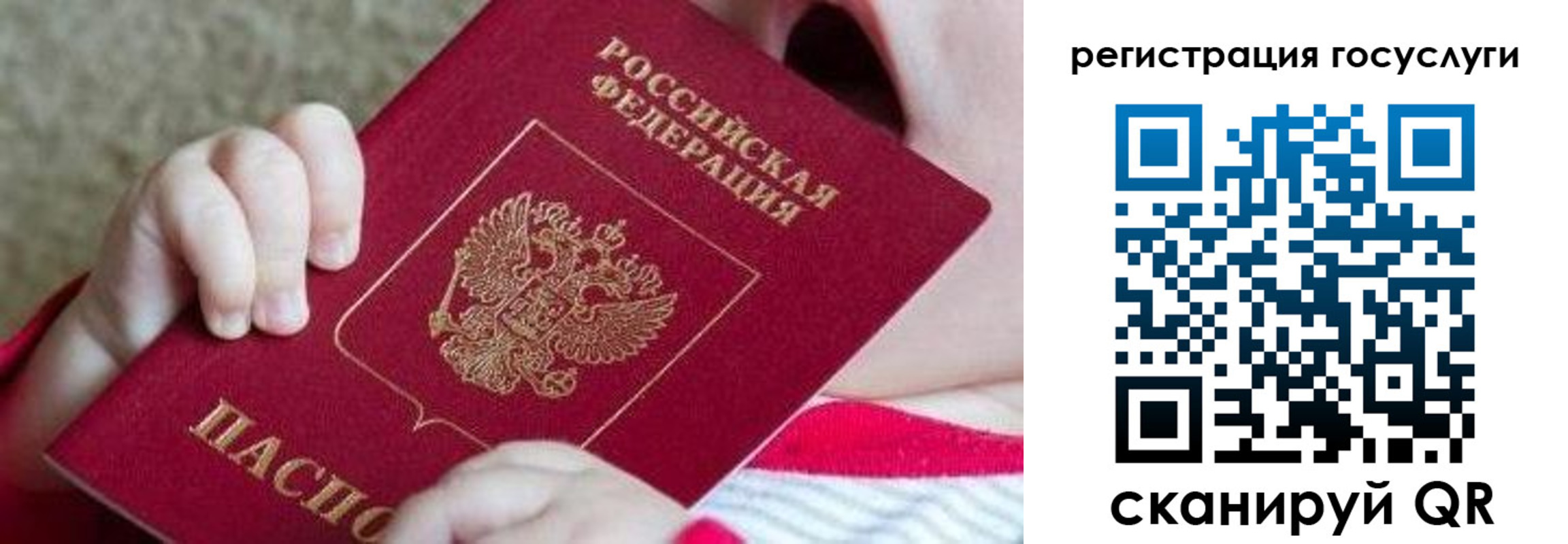регистрация для школы в Петропавловске-Камчатском